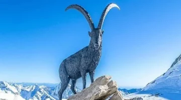 نظرة سريعة مميزات وعيوب برج الجدي الأساسية